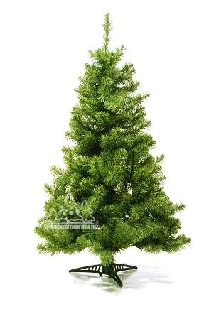 фото Сосна Миннесота 150 см Сосна Миннесота 150 см
