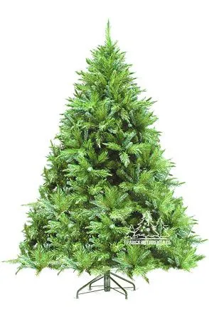 фото Сосна Клинтон 255 см Сосна Клинтон 255 см