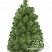 Ель Канадская 60 см