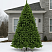 Сосна Венера 315 см на улице