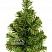Ель Канадская 20 см